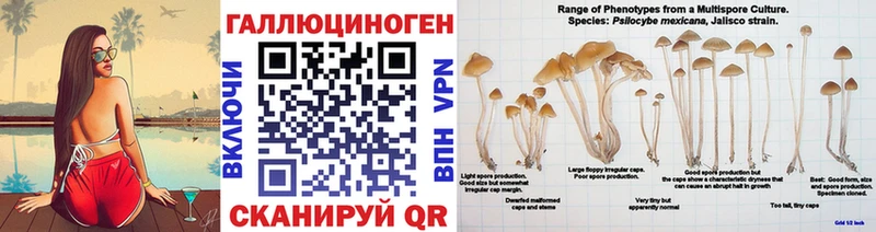 Галлюциногенные грибы прущие грибы  Касли 